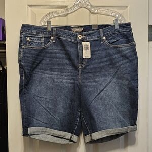 Torrid shorts